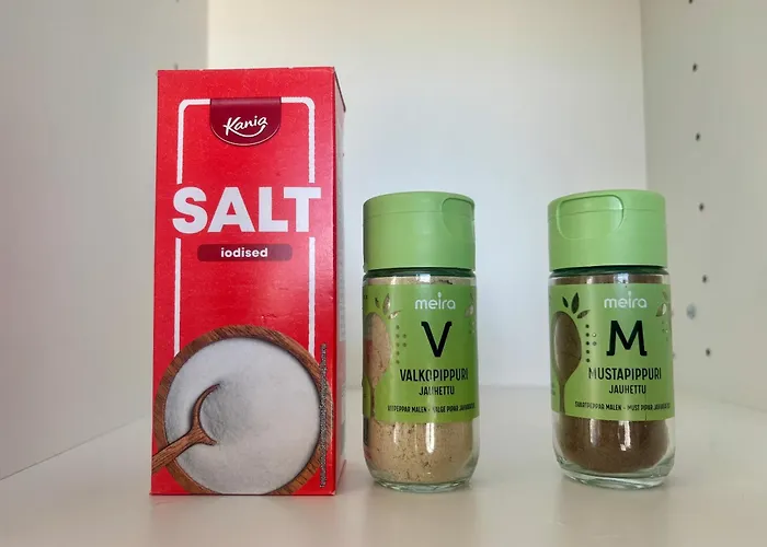 Modern Flat Your Parking Space And Metro Nearby * هلسنكي